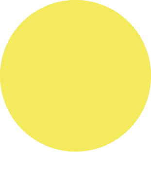 rond jaune alexandra 1